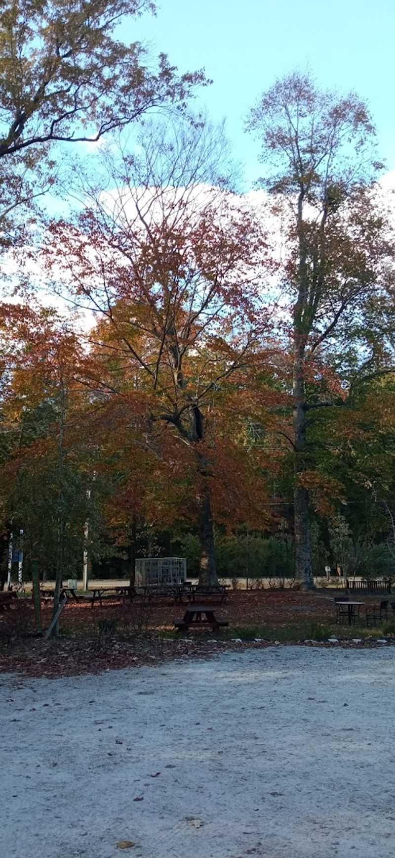 Year-Round Accessibility And Perfect Conditions