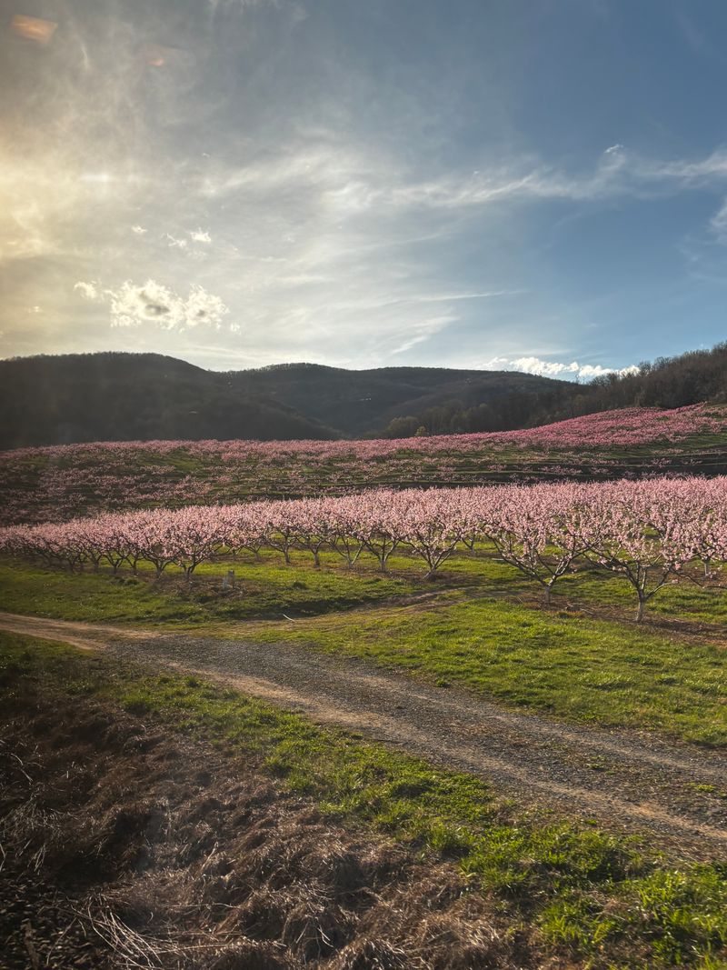 Historic Narration That Actually Teaches You Something