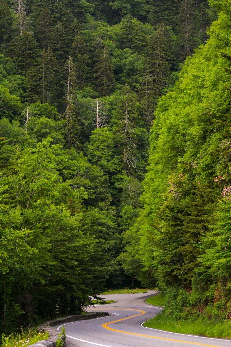 Back Roads That Feel Cinematic