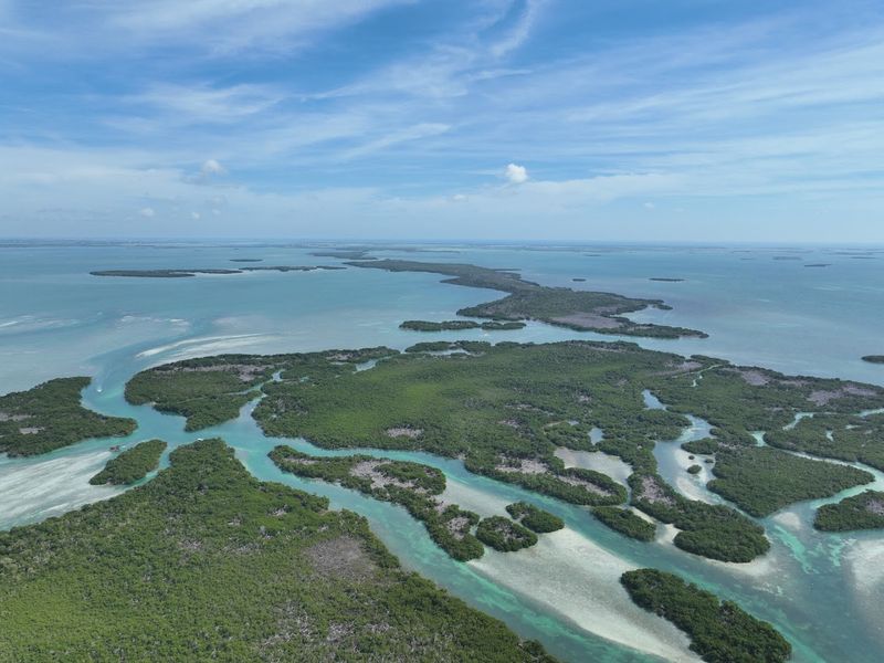 Great White Heron National Wildlife Refuge 