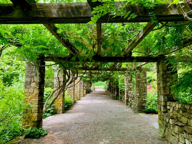 The Pergola That Frames Every View