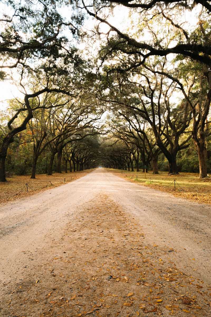 Southern Hospitality That Feels Genuine