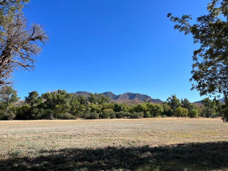 Grassland Views Feel Unexpected For Arizona