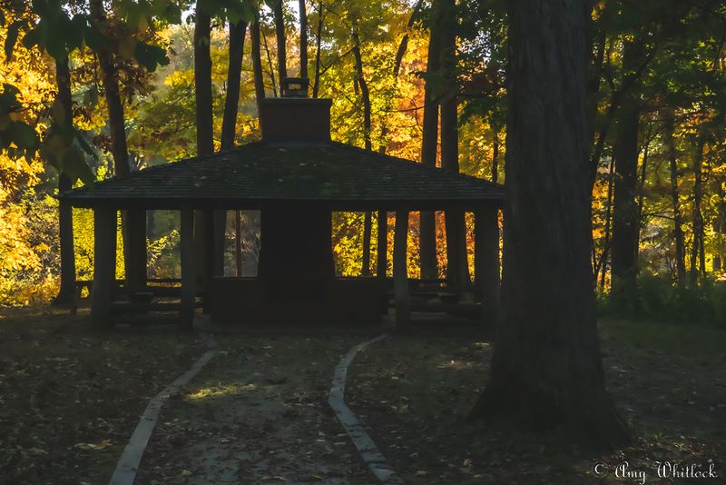 Peaceful Picnic Areas Throughout the Park