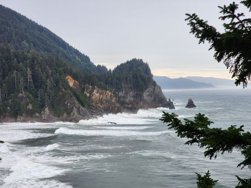 The Surf Culture Has Exploded Beyond Recognition