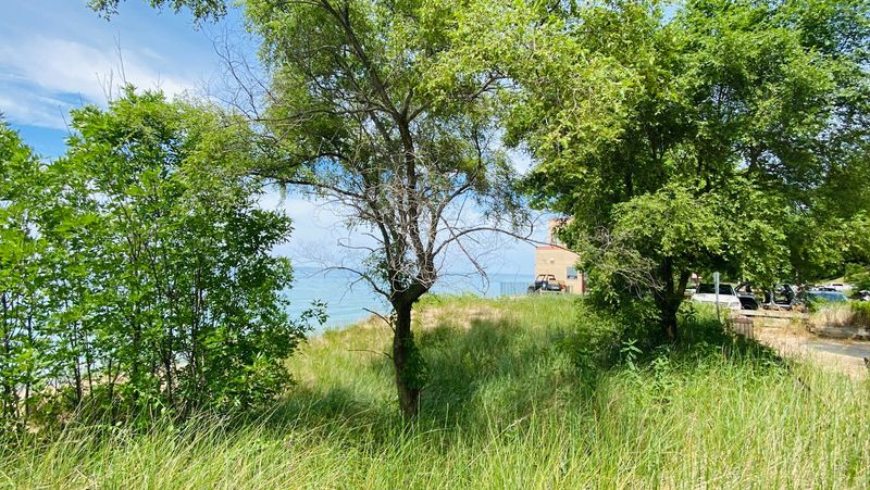 The Peaceful, Unhurried Energy That Recharges You Completely