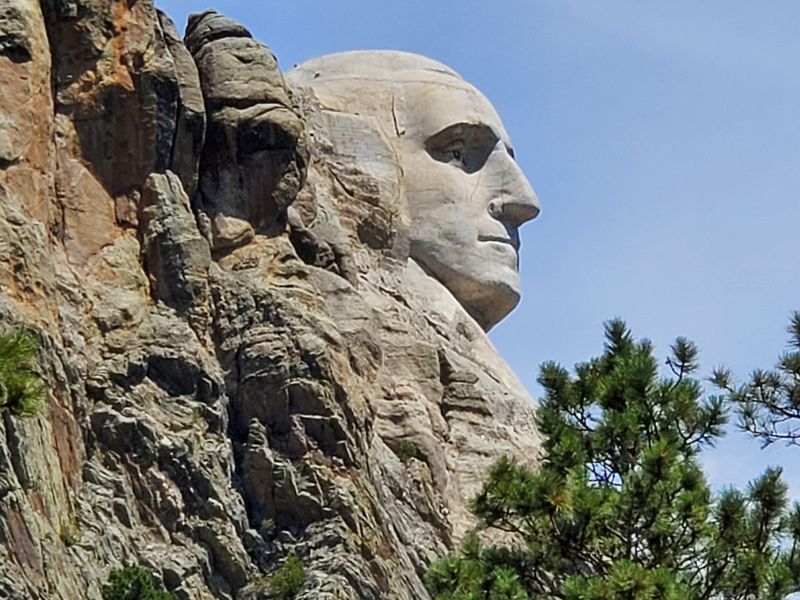 Natural Setting Took A Back Seat