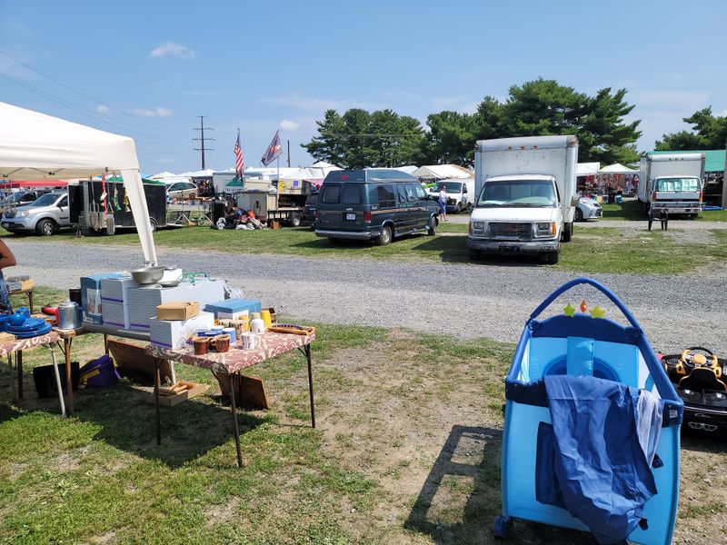 Early Bird Advantage