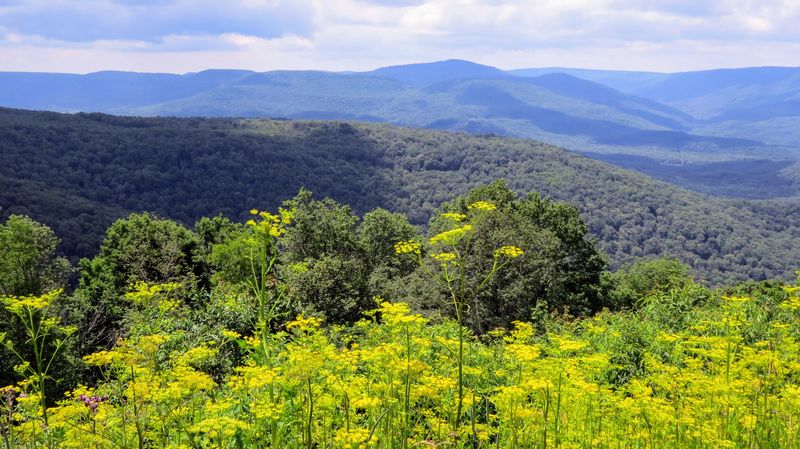 Highlands Scenic Byway, Virginia