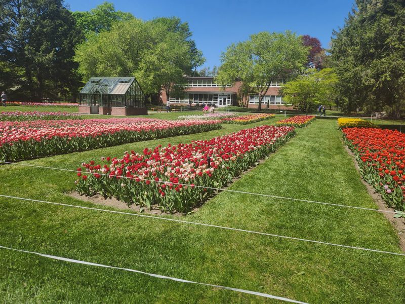 The Garden At Elm Bank, Massachusetts Horticultural Society