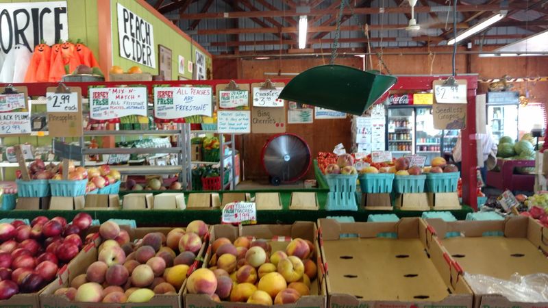 Peaches Worth Pulling Over For