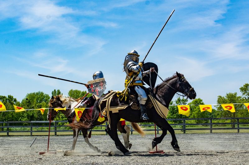 Thundering Hooves and Clashing Lances at the Joust Arena