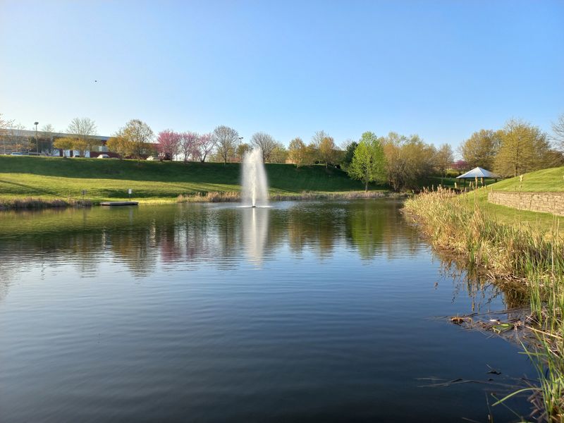 Heritage Park Transforms Into Community Gathering Hub