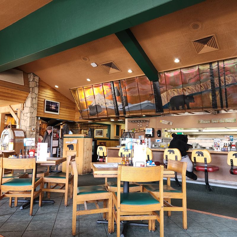 Cozy Bear Cabin Theme That Hugs Your Soul