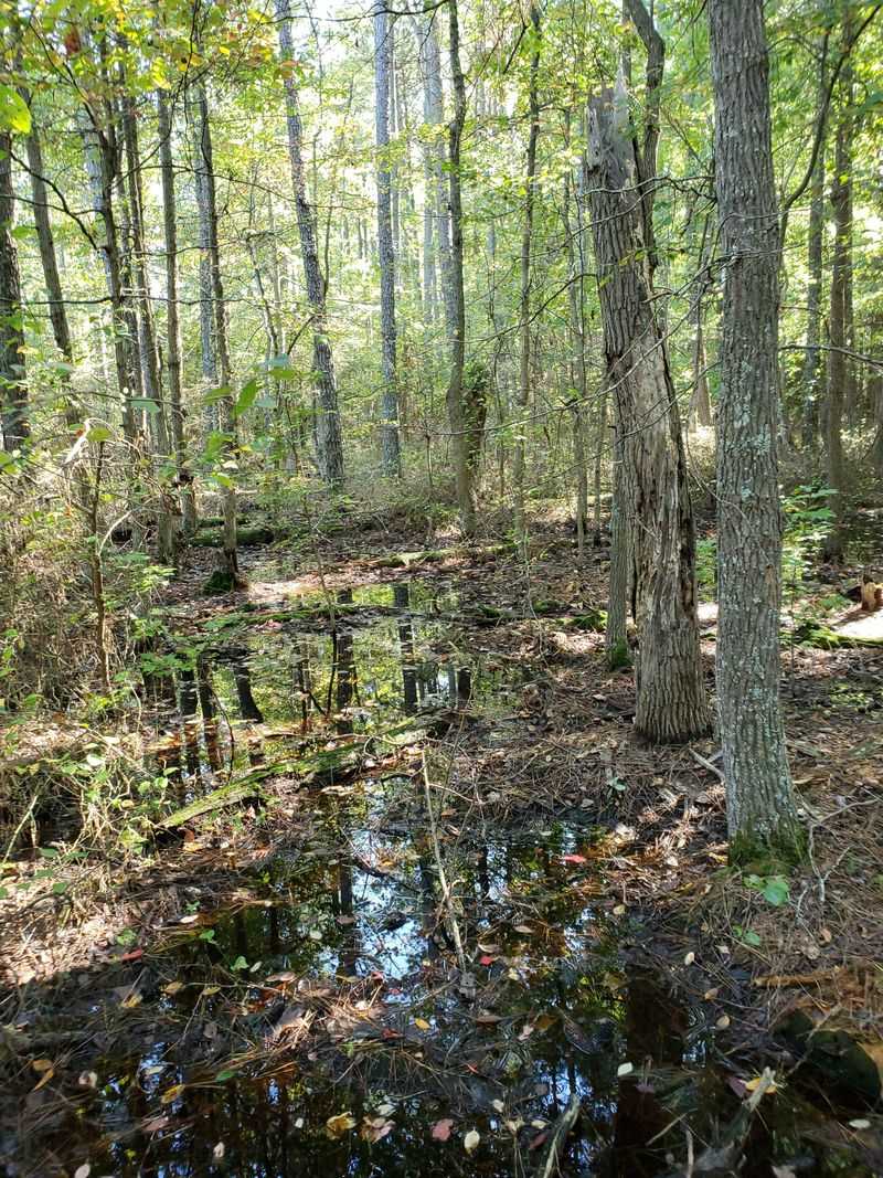 Insect Repellent Qualifies as Essential Equipment