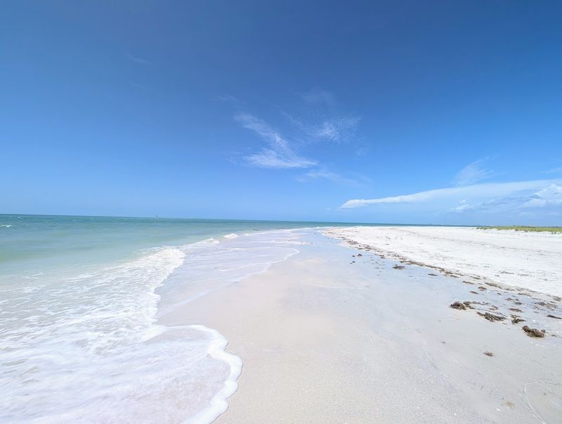 Shelling Spots That Still Feel Like A Lucky Find