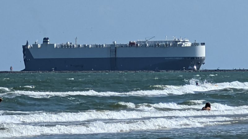 Driving on the Beach Damages Dunes and Wildlife