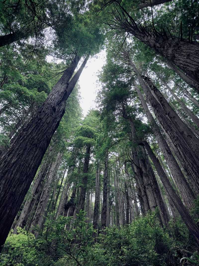 Climate Stress Makes Human Impact Worse Climate Stress Makes Human Impact Worse