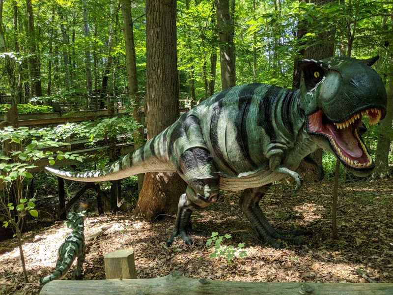 Dinosaur Discovery Trail Transports Kids Back In Time