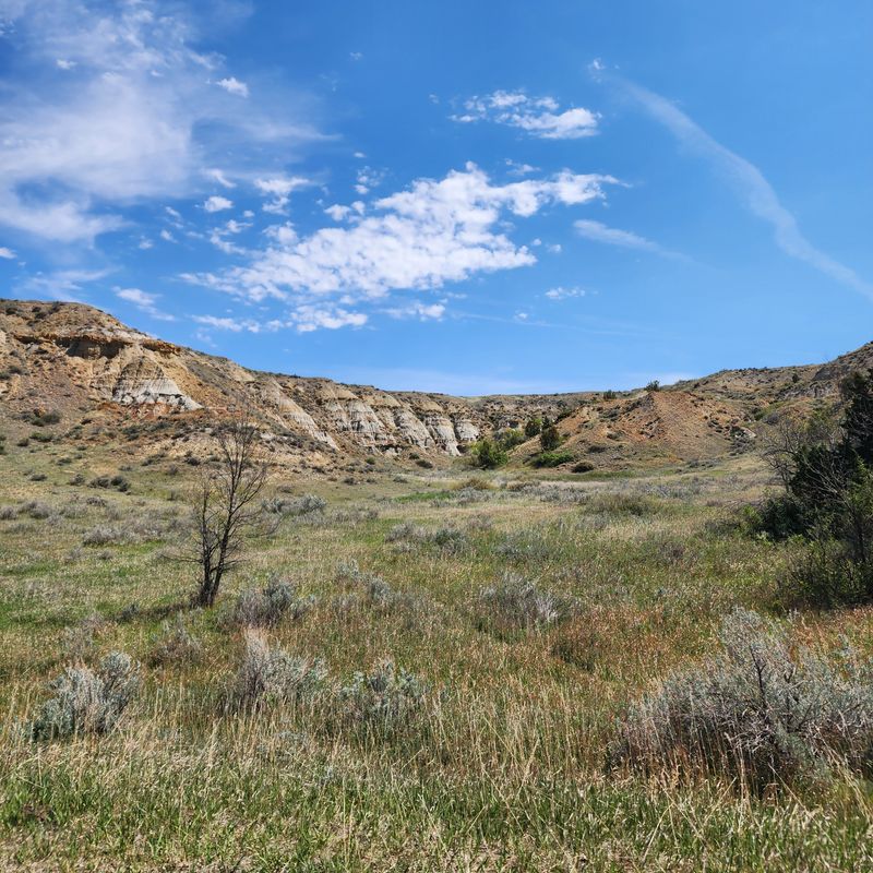 Frontier Heartbeat In The Badlands