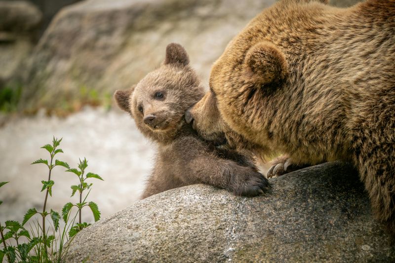 Food Storage Mistakes That Invite Nighttime Visitors