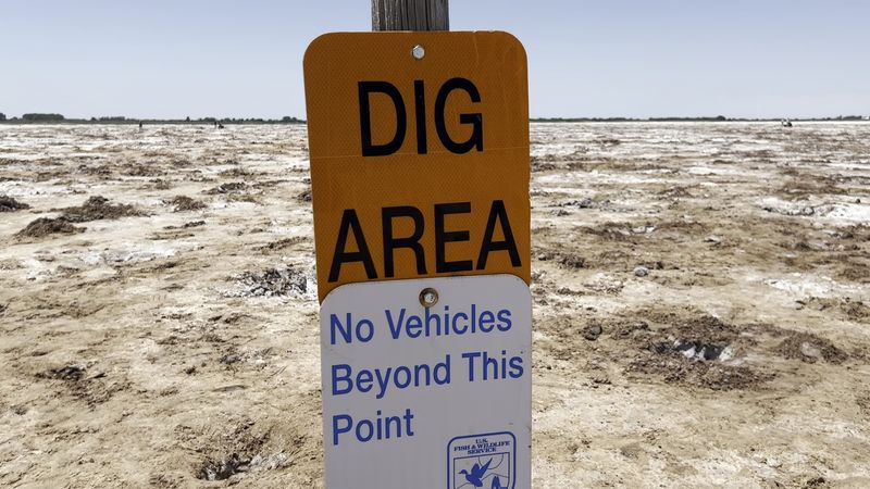 The Salt Flats Have Become a Treasure Hunt Free-for-All