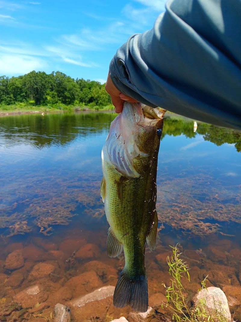 The Stocking Debate That Has Everyone Talking