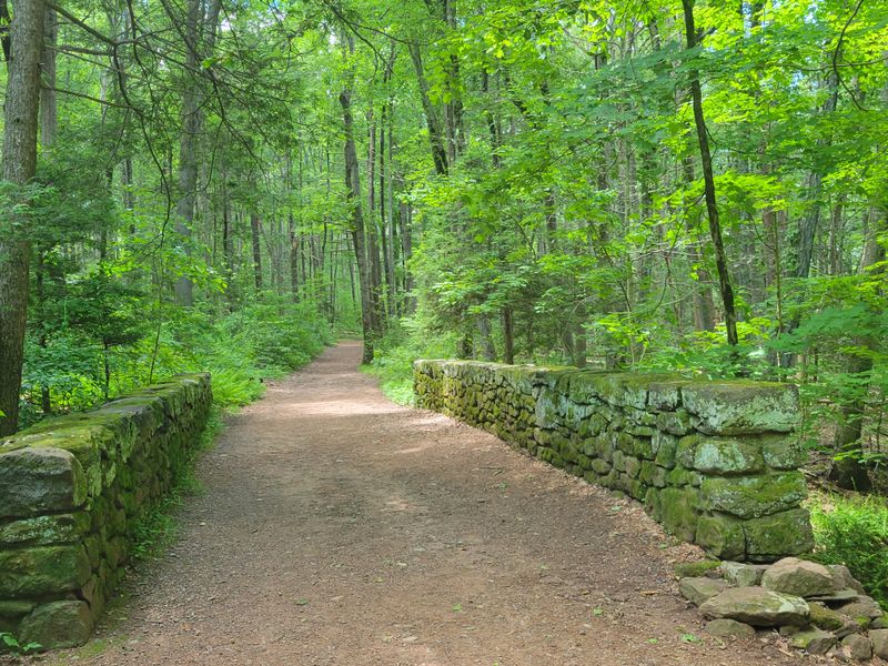 Parks Connect Instead Of Compete