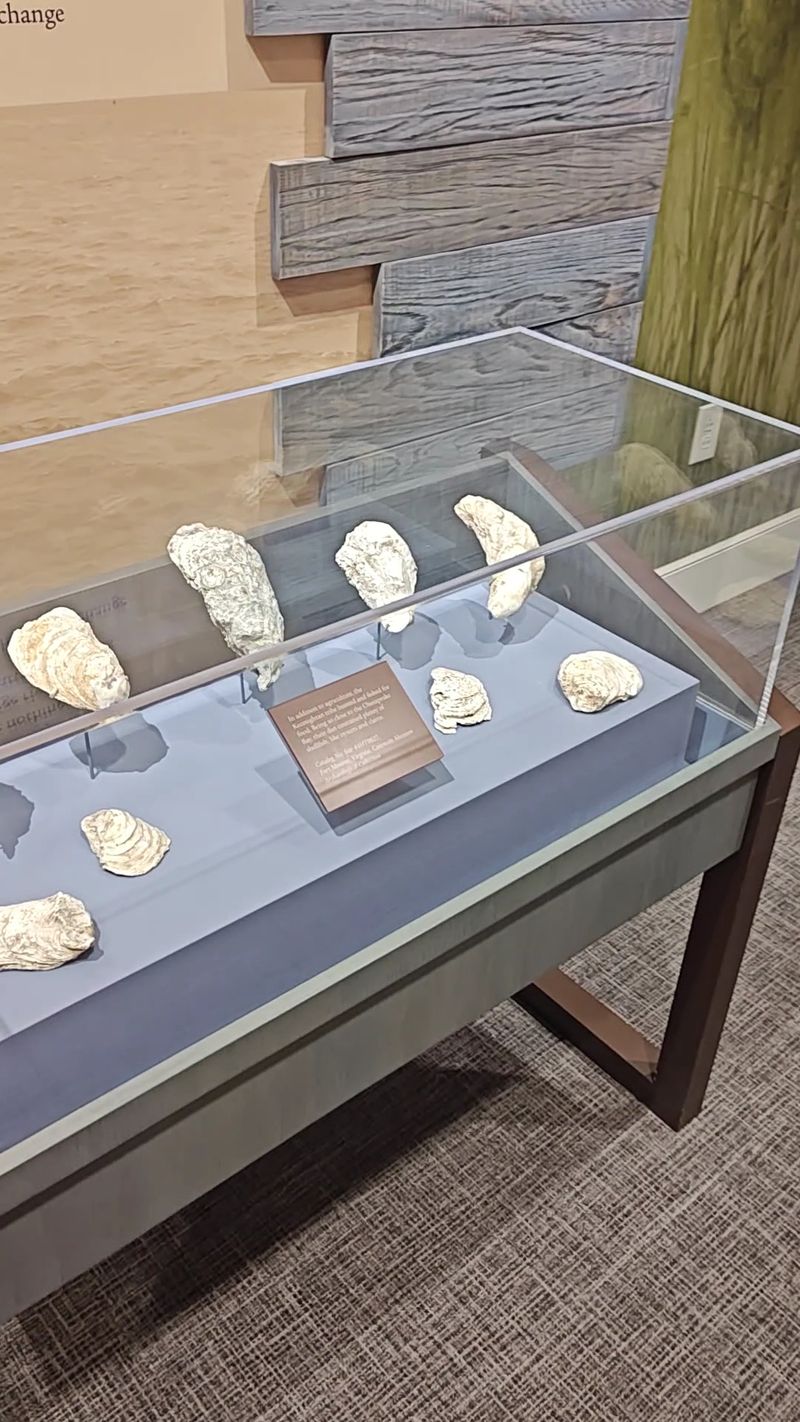 Native American Heritage That Predates All European Settlement