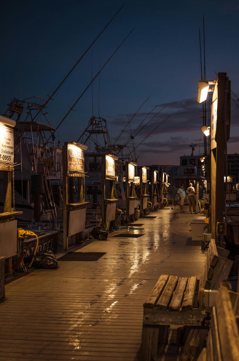 Dock Lights And Rail Shadows That Make Every Step Feel Extra Loud