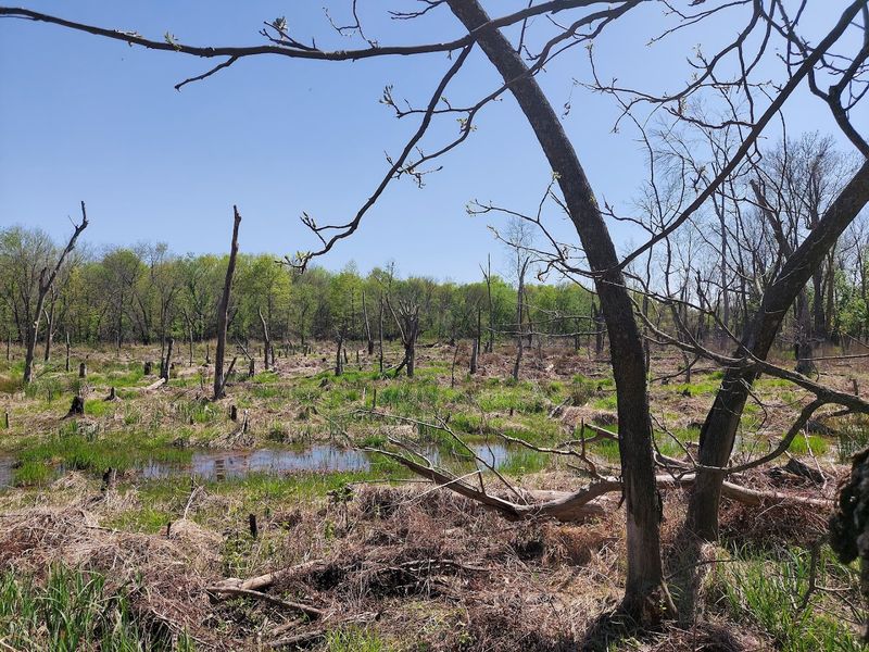 When the Parking Lot Tells the Whole Story