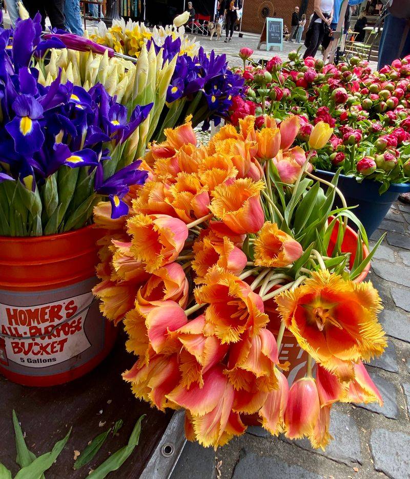 Spring's Fresh Seasonal Offerings