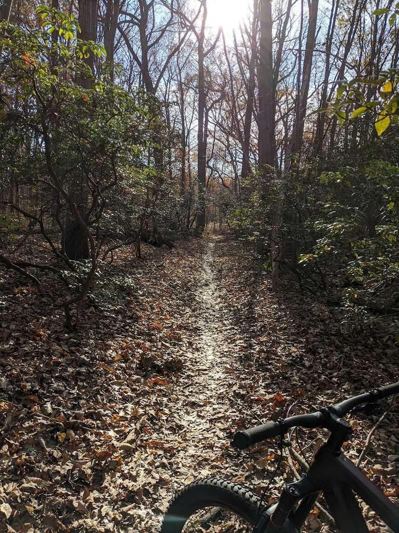 Trail Connections Perfect for Bikes and Families