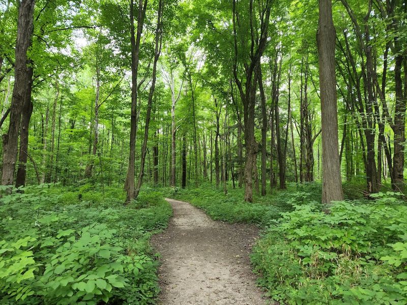 South Overlook Trail (Eagle Creek Park)