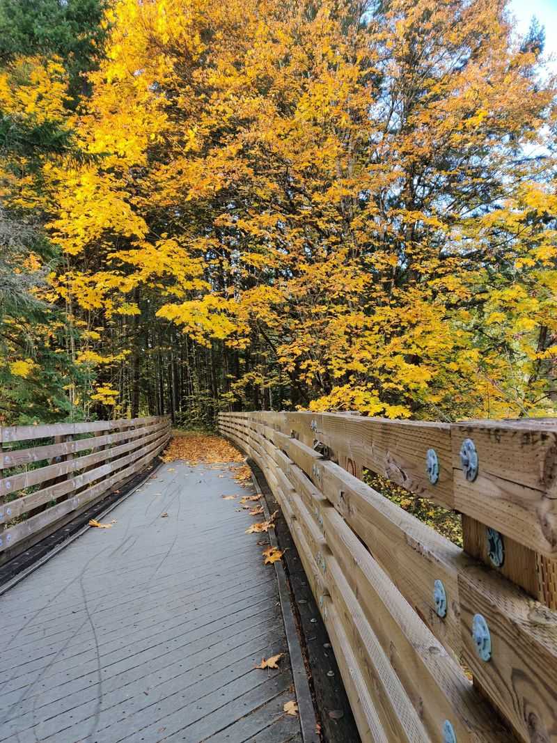 The Magnificent Buxton Trestle Bridge
