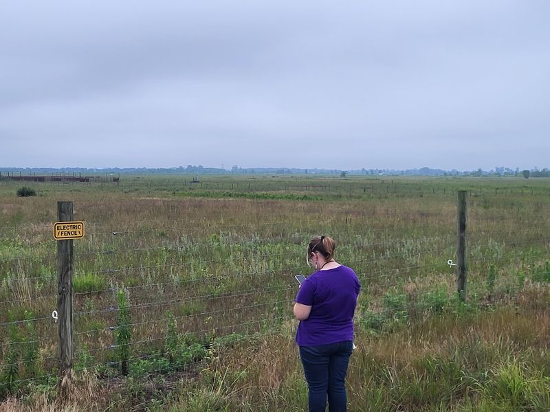 Volunteer and Educational Programs for All Ages