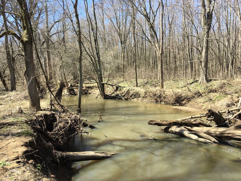 Peaceful Riverside Walk With Constant Water Sounds