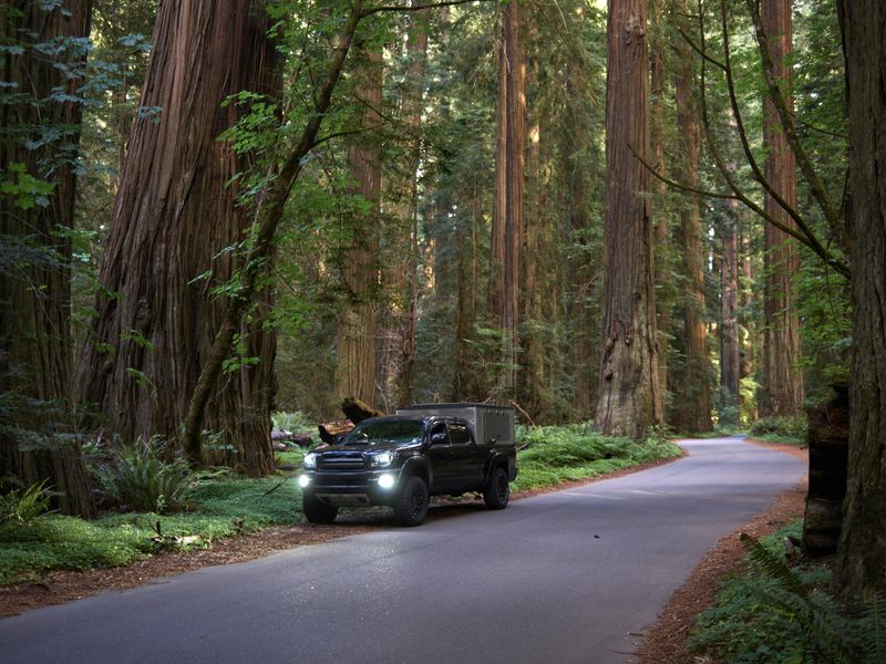 Vehicles Contribute To Pollution And Vibration Vehicles Contribute To Pollution And Vibration