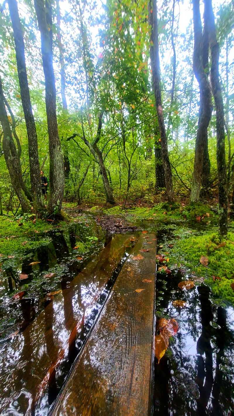 The Complete Batona Trail Through Wharton's Heart