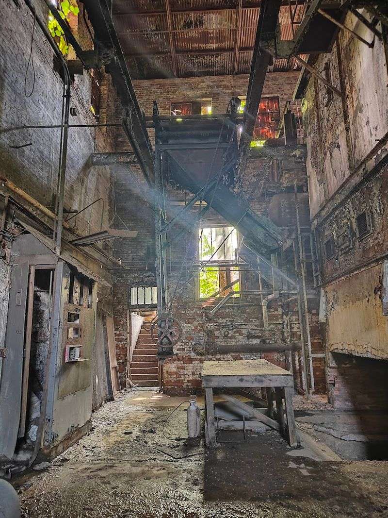 The Flashlight Tours That Change Everything After Dark