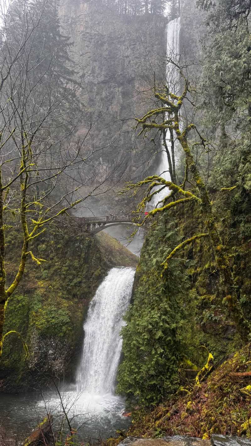 Outdoor Terrace Dining Experience