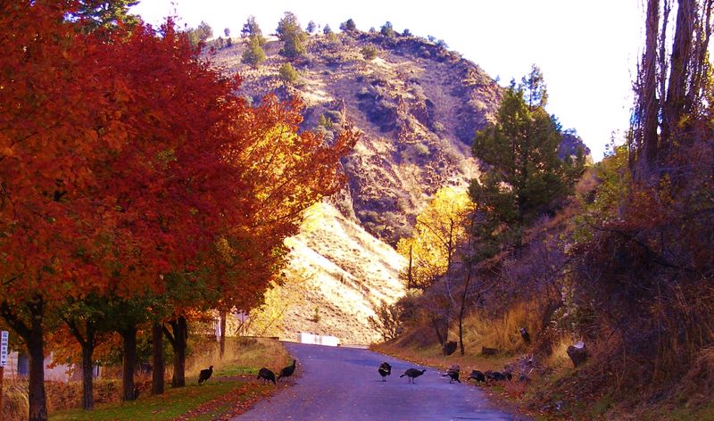 Lucky Strike Mine Offers Hands-On Fossil and Mineral Hunting