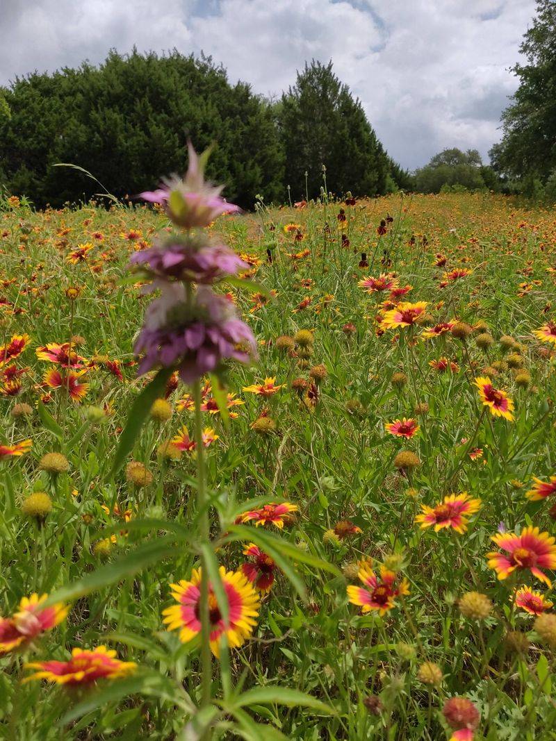 Highway 290 (Fredericksburg to Johnson City)