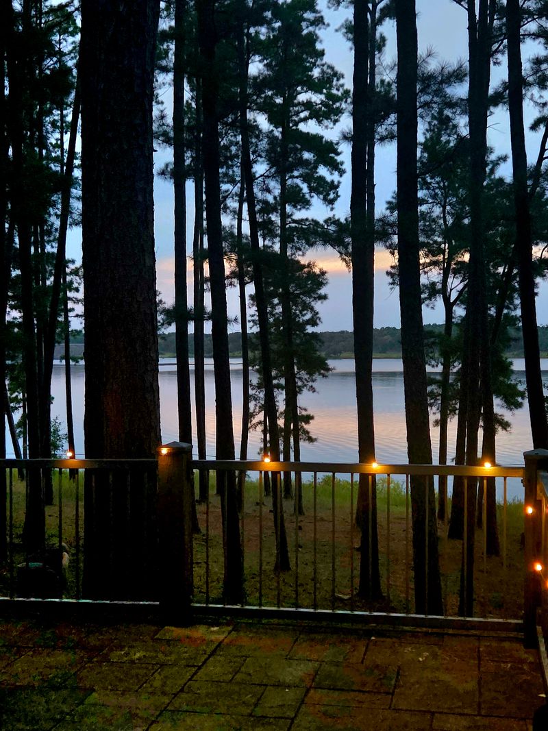 The Firewood Economy That Charmed Me