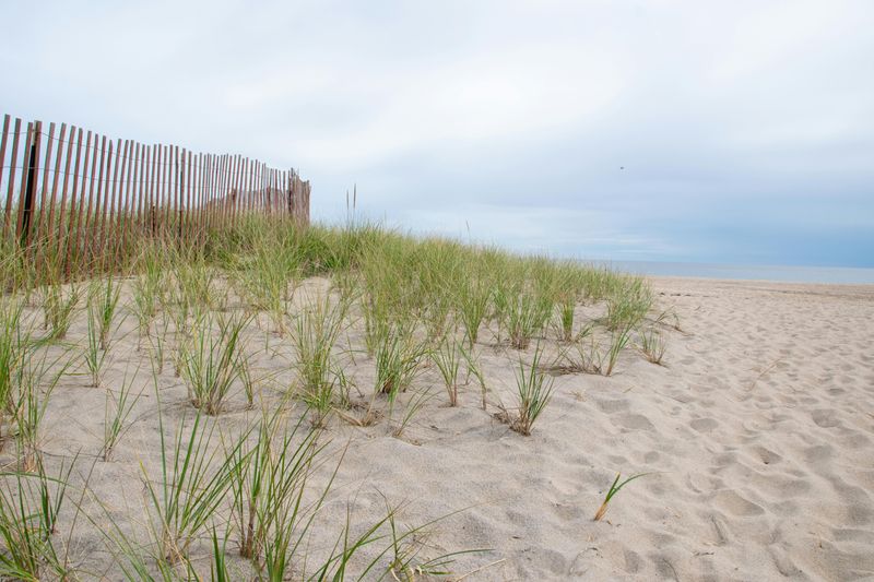 Erosion Has Changed The Shoreline