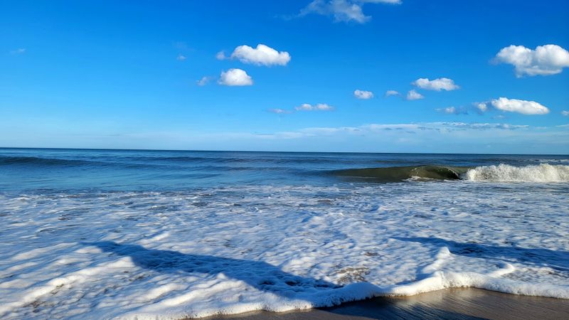 Chain Restaurants Have Replaced Local Seafood Joints