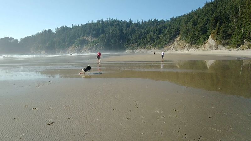 The Campground Closure Changed Everything