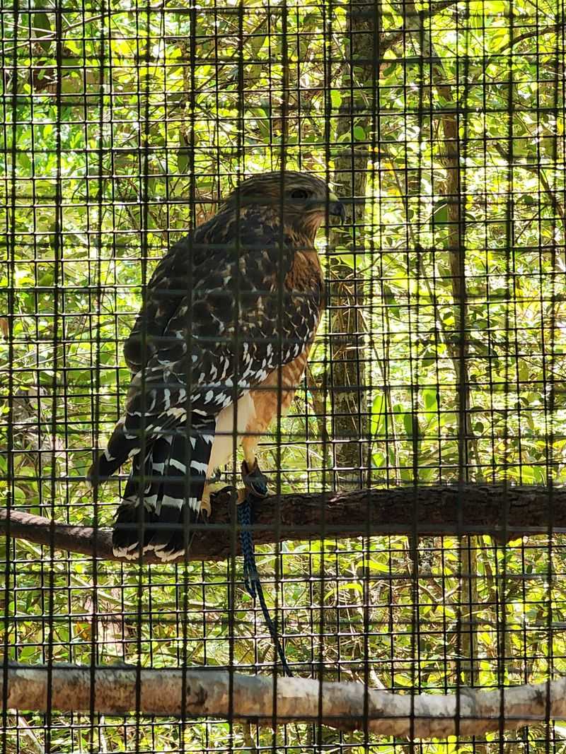 Litter Problems On Beaches And Trails