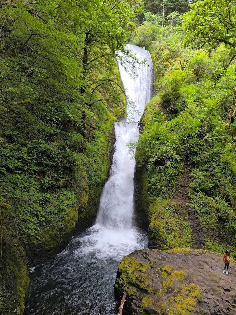 Environmental Damage Accelerates Beyond Repair