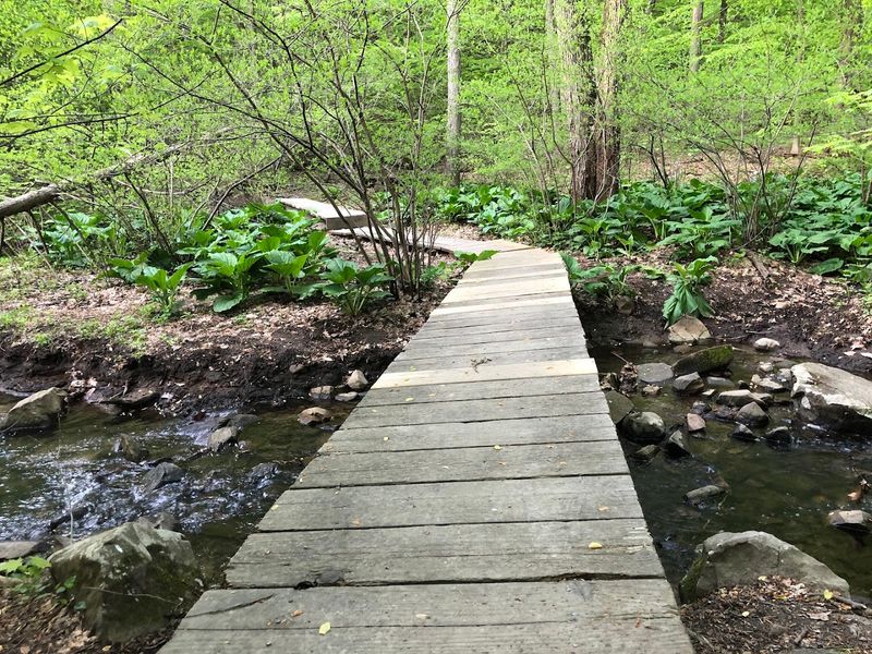 Wildlife Encounters Beyond The Birds